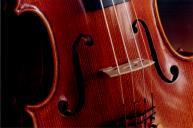 Pormenor de um violino.