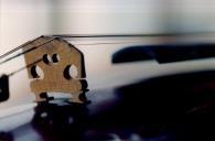 Cavalete de um violino.