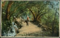 Cintra (Portugal) - Palácio do Monserrate - Caminho da Fonte Amores 