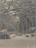 Nevão na Serra de Sintra.