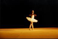 Noites de bailado em Seteais.