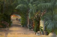 Cintra - Jardim do Monserrate