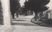 Arruamentos no Cemitério de São Marçal.