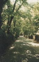 Rampa da Pena na Serra de Sintra