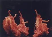 Atuação da companhia de Ballet Latido Flamenco com coreografia de Manolete.