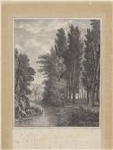 [Rio de Colares ladeado de árvores, vendo-se ao longe a ponte] [Material gráfico] / <span class="hilite">Domingos Schioppetta</span>. – [S.l. : s.n., 18--]. – 1 litografia : papel, p & b ; 23 x 18 cm.